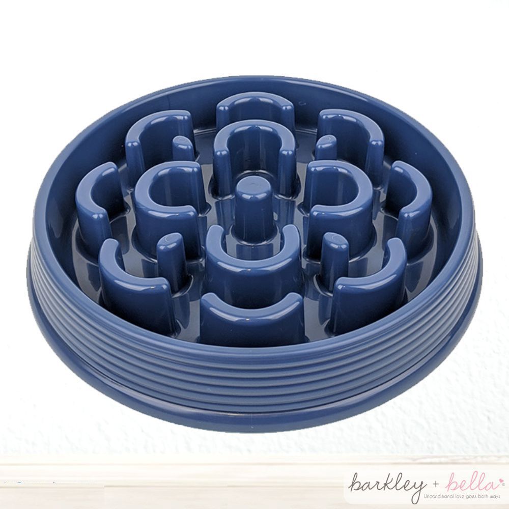Anti-Gulping Slow Feeder Bowl for Dogs & Cats